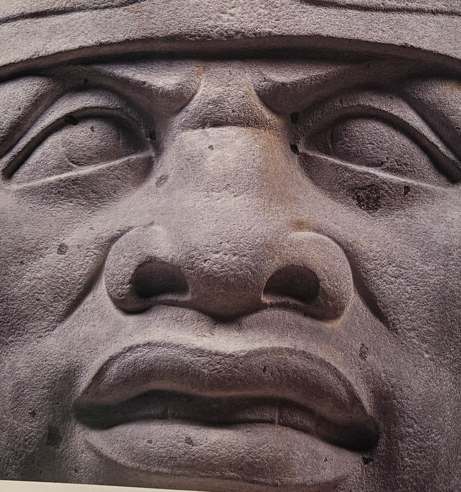 San Lorenzo colossal head, dramatic close-up showing individual physiognomy